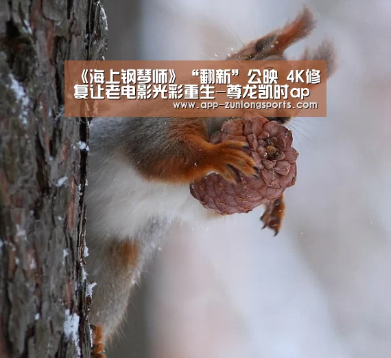 《海上钢琴师》“翻新”公映 4K修复让老电影光彩重生-尊龙凯时app(图2) 尊龙凯时人生就是搏